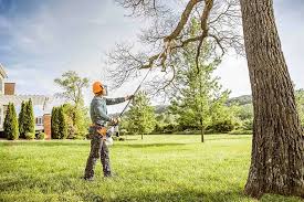 Best Commercial Tree Services  in Montverde, FL